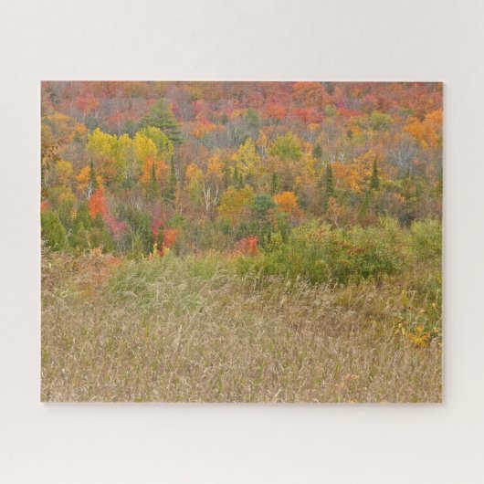 PUZZLE/"VIBRANT LANTRYSIDE IN FALL" PUZZLE (Horizontal)