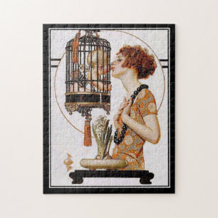 Puzzle Vintage-Dame Baby-Käfig