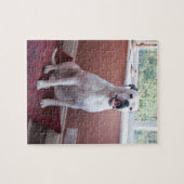 Puzzle: Weißer Boxer-Hund Puzzle (Horizontal)
