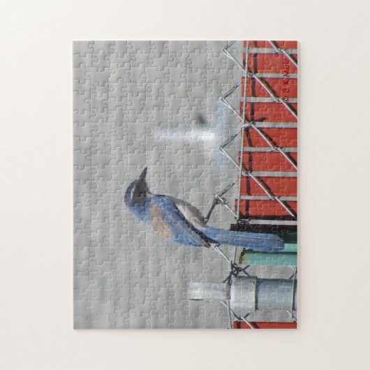 Puzzle - Western Scrub-Jay auf Zaun (Vertikal)
