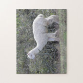 Puzzle - White Alpaca (Vertikal)