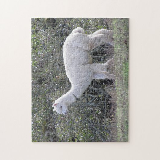 Puzzle - White Alpaca (Vertikal)