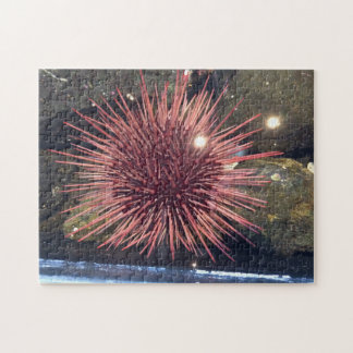 Puzzle "White Sea Urchin 252"