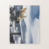 Puzzle Yellowstone Coyote (Vertikal)