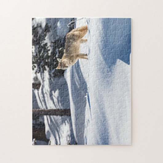 Puzzle Yellowstone Coyote (Vertikal)