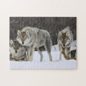 Puzzle Yellowstone Wolves (Horizontal)