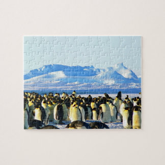 Puzzlepuzzle Puzzle