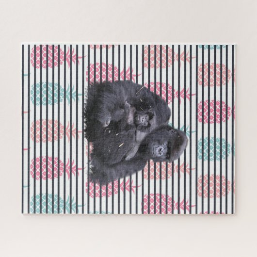 Puzzles Ananas Gorilla Baby Gorilla (Horizontal)