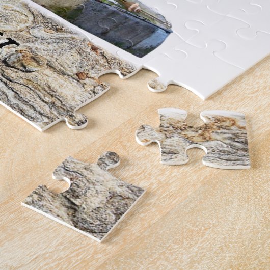 Puzzles Birds Fountain (Seite)