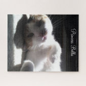 Puzzles Cat Kitten Bella (Horizontal)