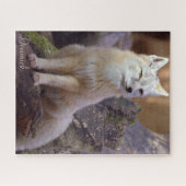 Puzzles Corsac Fox (Horizontal)