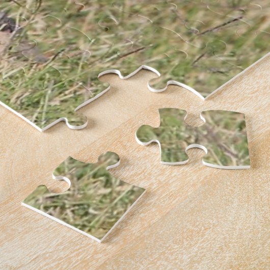 Puzzles Coyote (Seite)