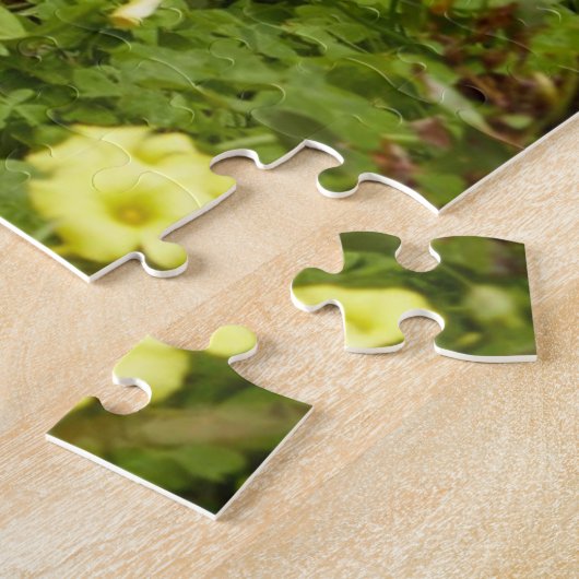 Puzzles Coyote (Seite)