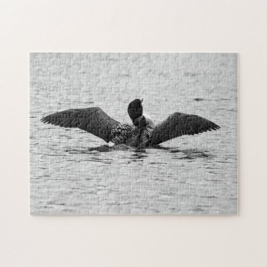 Puzzles des Common Loon Jigsaw (Horizontal)