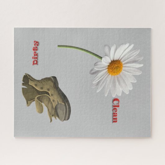 Puzzles Gray Daisy Dirty Shoe Clean (Horizontal)
