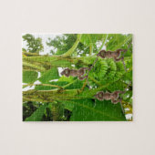 Puzzles Monkey Banana Tree (Horizontal)