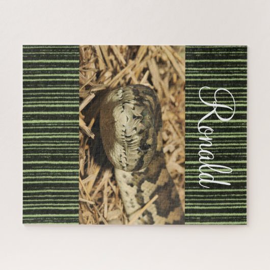 Puzzles Snake Green (Horizontal)