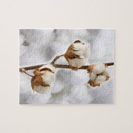Puzzles Weiße Baumwolle (Horizontal)