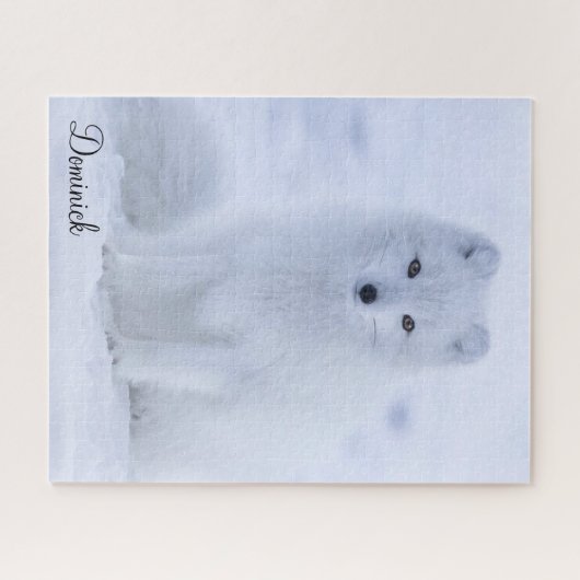 Puzzles White Fox (Horizontal)