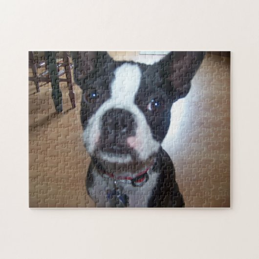 PUZZLESPIEL BOSTONS TERRIER PUZZLE (Horizontal)