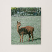 Puzzlespiel - Brown-Alpaka auf dem Gebiet Puzzle (Vertikal)
