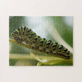 Puzzlespiel der Raupen-10x14 Puzzle