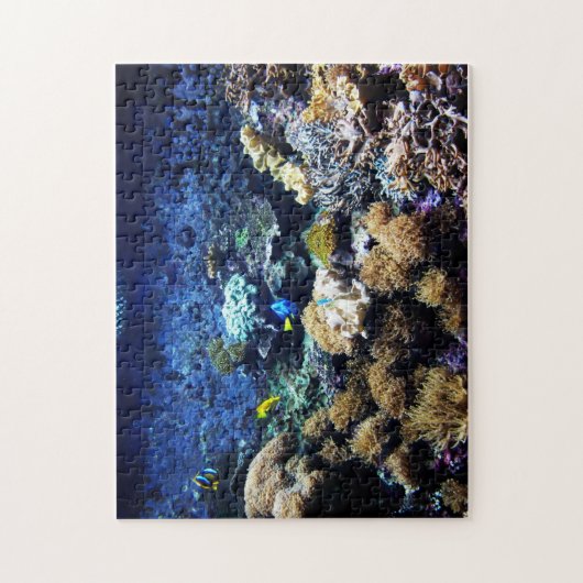 Puzzlespiel des Salzwasserbehälters 1 Puzzle (Vertikal)