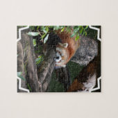 Puzzlespiel des Schlafenroten Pandas Puzzle (Horizontal)