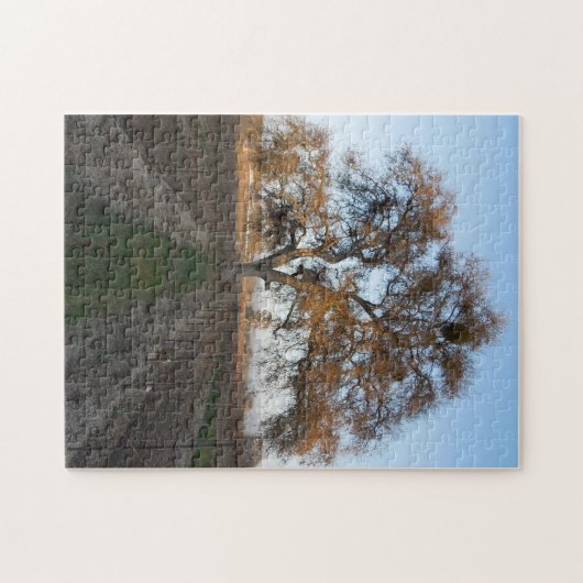 Puzzlespiel: Eiche inVineyard mit Mistelzweig Puzzle (Horizontal)