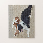 Puzzlespiel - Hunde am Strand Puzzle (Vertikal)