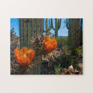 Puzzlespiel - Kakteen - Blumen - Arizona Puzzle