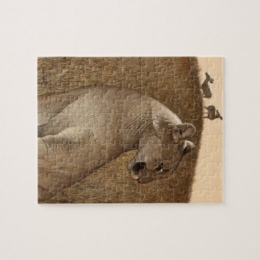 Puzzlespiel mit Puma u. Maultierhirsch Puzzle (Horizontal)