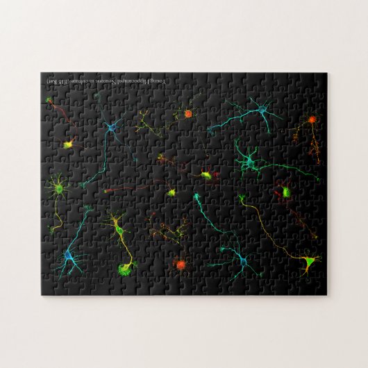 Puzzlespiel NeuroStage3 Puzzle (Horizontal)