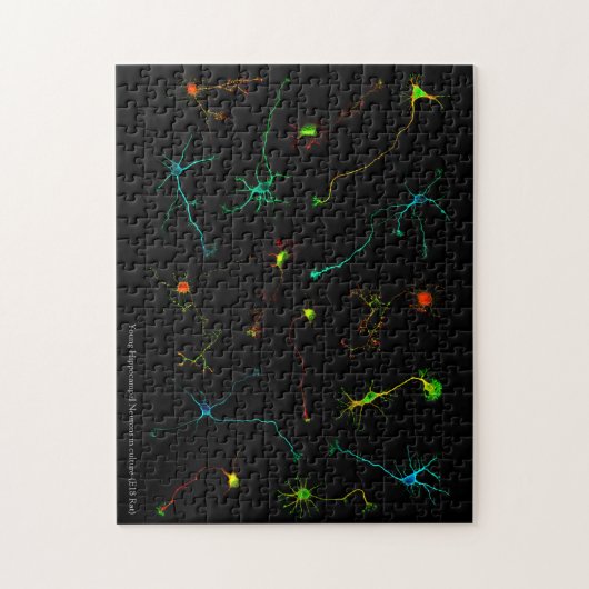 Puzzlespiel NeuroStage3 Puzzle (Vertikal)