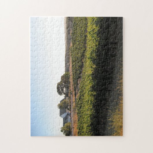 Puzzlespiel: Penman entspringt Weinberg in Paso Puzzle (Vertikal)