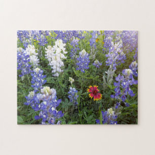 Puzzlespiel Texas-Wildblumen-10x14 Puzzle