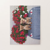 Puzzlespiel Yorkshires Terrier Puzzle (Vertikal)