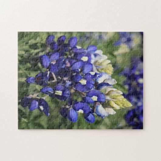 PuzzlespielBluebonnet Puzzle (Horizontal)