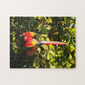 PuzzlespielScharlachrot Macaw- Puzzle (Horizontal)