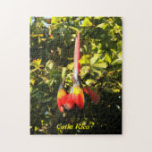 PuzzlespielScharlachrot Macaw- Puzzle (Vertikal)