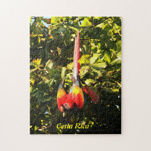 PuzzlespielScharlachrot Macaw- Puzzle (Vertikal)