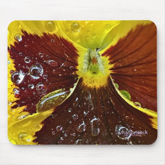 PW42 MOUSEPAD (Vorne)