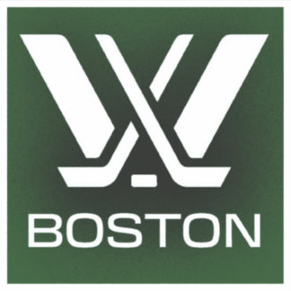 PWHL Boston Hockey-Logo Aufkleber