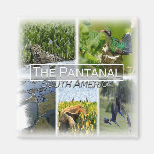 PY0010 Amerika, Paraguay, Pantanal, Kühlschrank Magnet