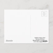 Pygmäe gegen Herbstfarben Postkarte (Rückseite)