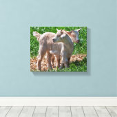 Pygmäe Ziege Kinder gepackt Canvas Leinwanddruck (Insitu (Holzboden))
