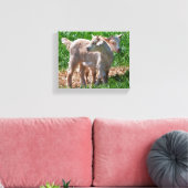 Pygmäe Ziege Kinder gepackt Canvas Leinwanddruck (Insitu (Wohnzimmer))