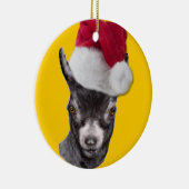 Pygmäe Ziege Weihnachtsmannmütze Weihnachtsschmuck (Rechts)