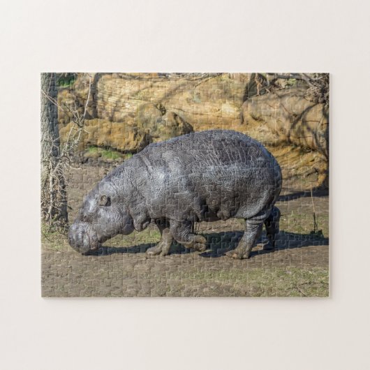 Pygmäen-Hippo-Puzzle Puzzle (Horizontal)