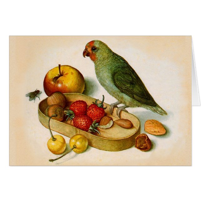 Pygmäen mit Früchten und Nuts (Vorderseite (Horizontal))